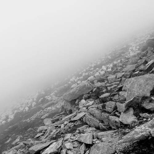 Photo #5859328
