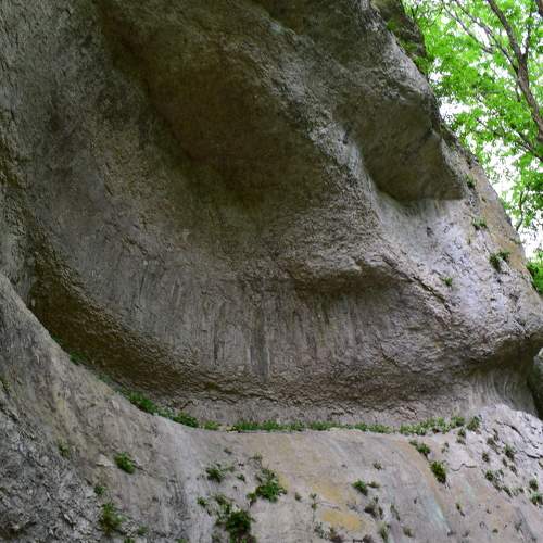 Photo #5859429