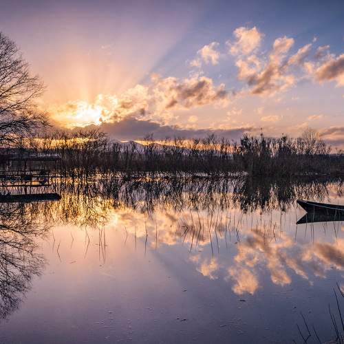 Photo #5859434