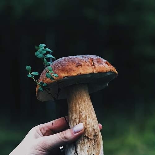 Photo #5859494