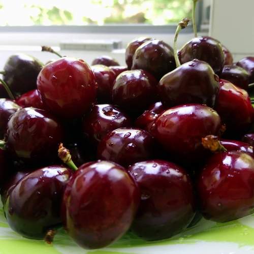 Photo #5859499
