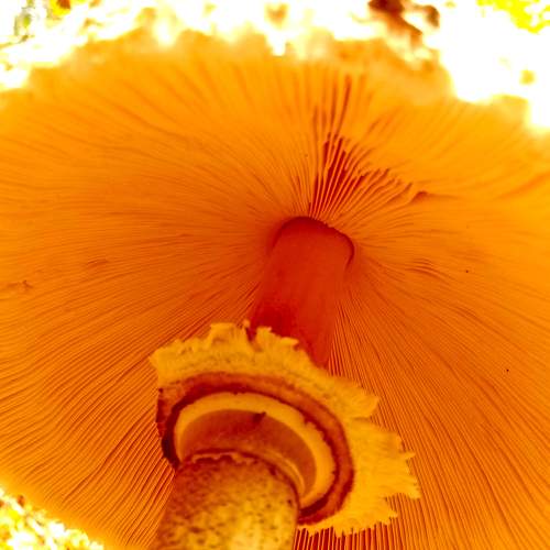 Photo #5859509