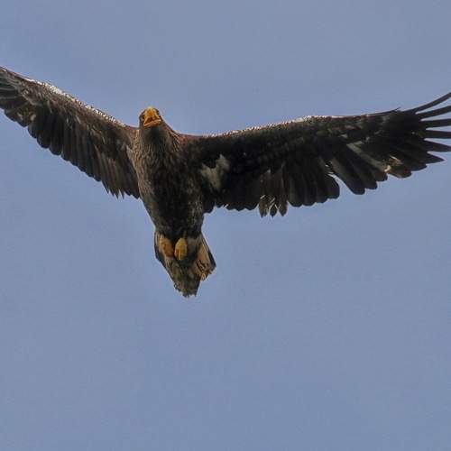 Photo #5859543