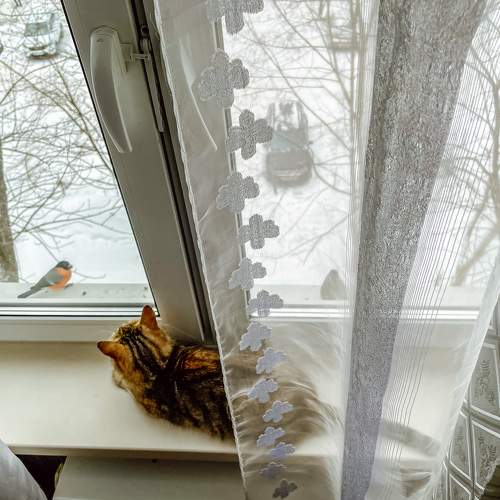 Photo #5859648