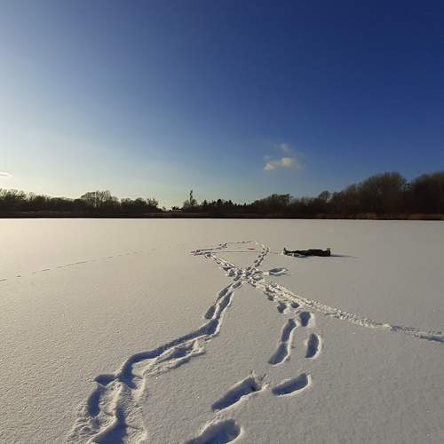 Snow and Sunshine