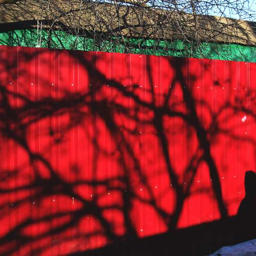 Photo #5859729