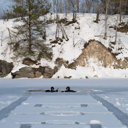 Photo #5859899