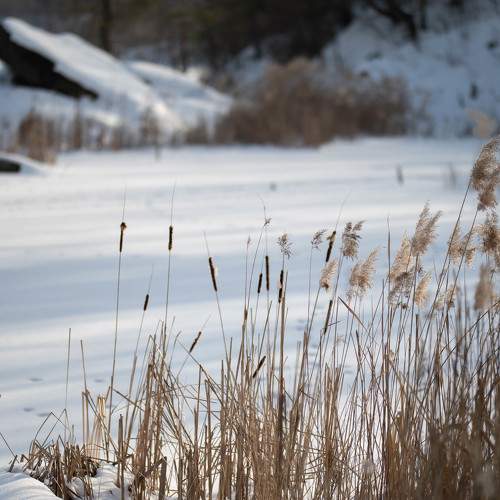 Photo #5859907