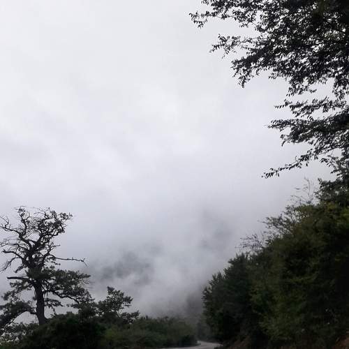 landscape- daytime