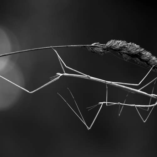 Фотография #5860086