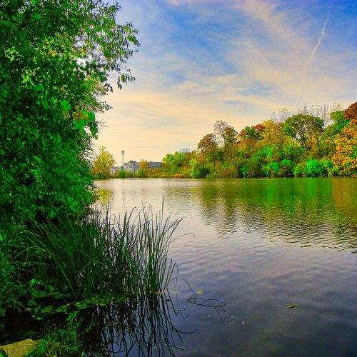 Photo #5860569