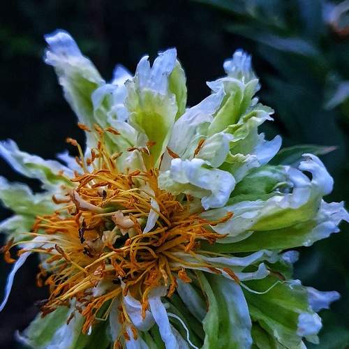 Photo #5860638