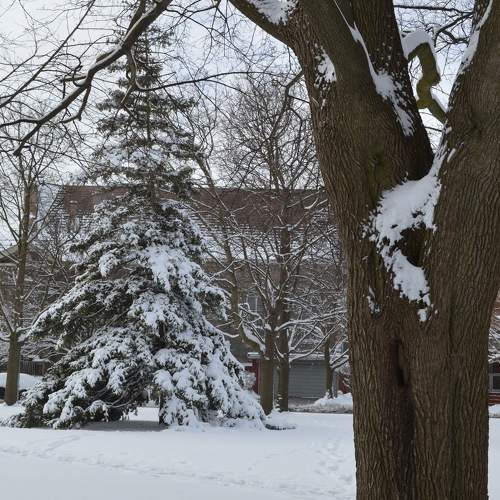 Photo #5860639