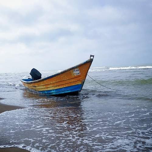 Photo #5860666