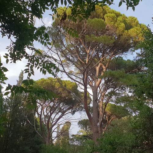 Photo #5860797