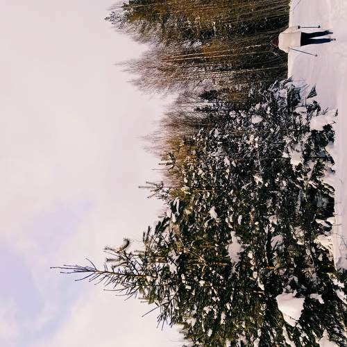 Photo #5860830