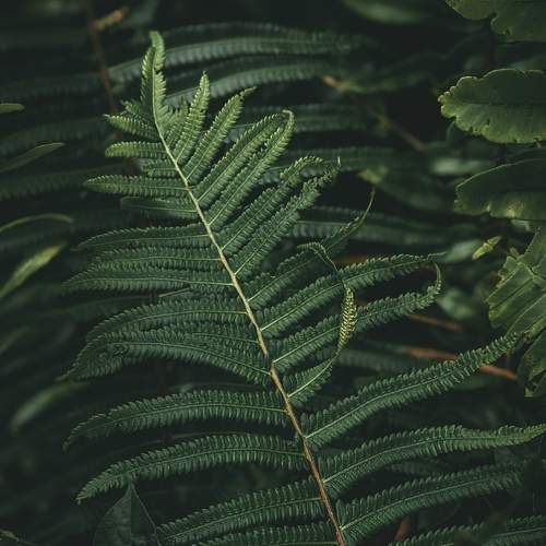 Photo #5861020