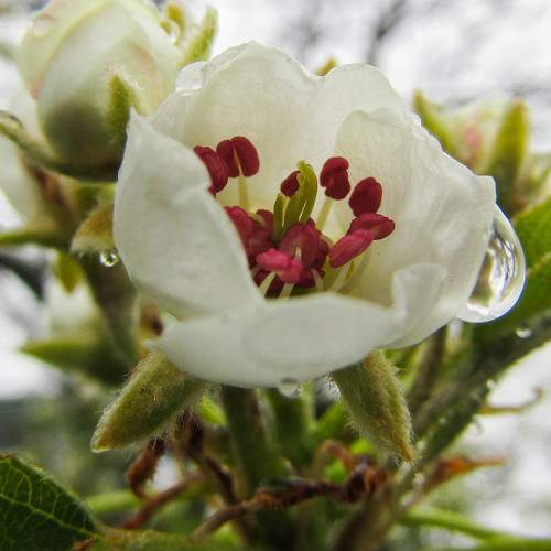 Photo #5861031
