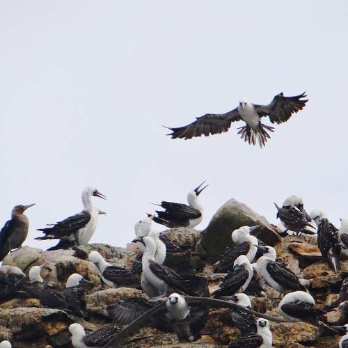 Photo #5861083