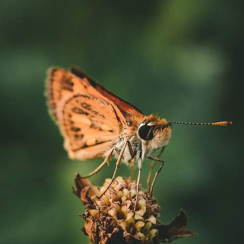 Photo #5861593