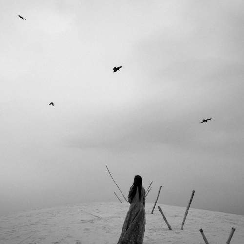 Photo #5861617