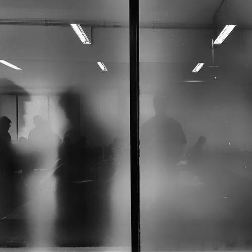 Photo #5861639