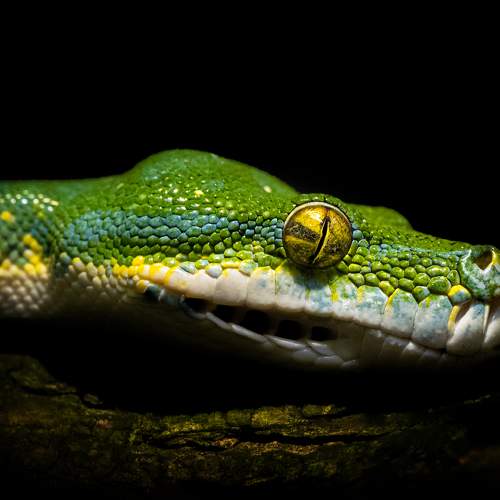 Фотография #5861762