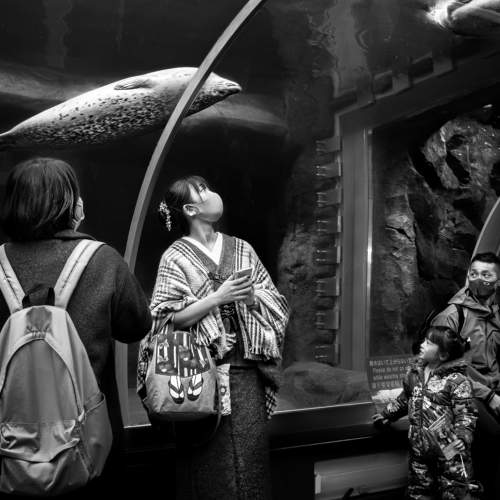 Фотография #5861807