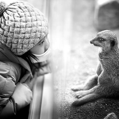 Фотография #5861832