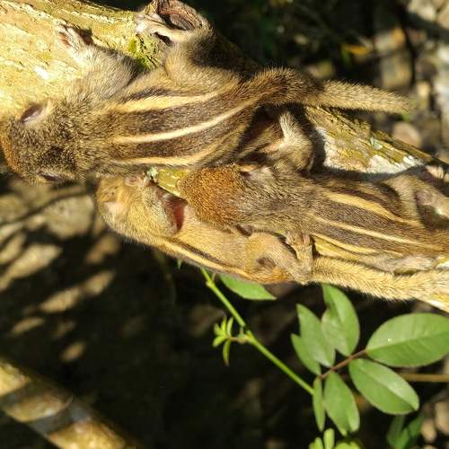 Photo #5861905