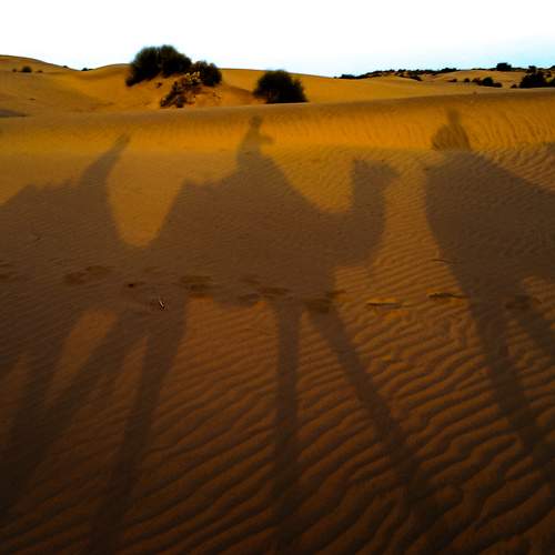 Photo #5862047