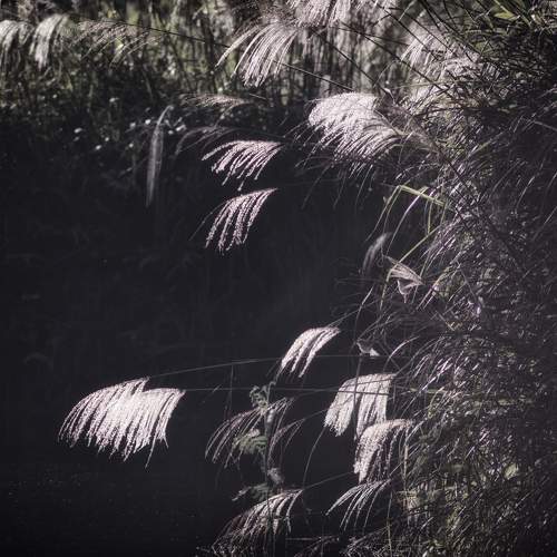 Photo #5862147