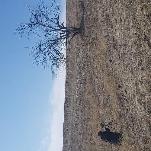 Photo #5862203