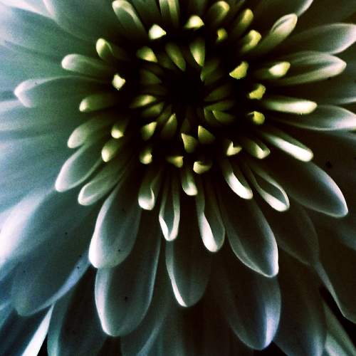 Photo #5862320