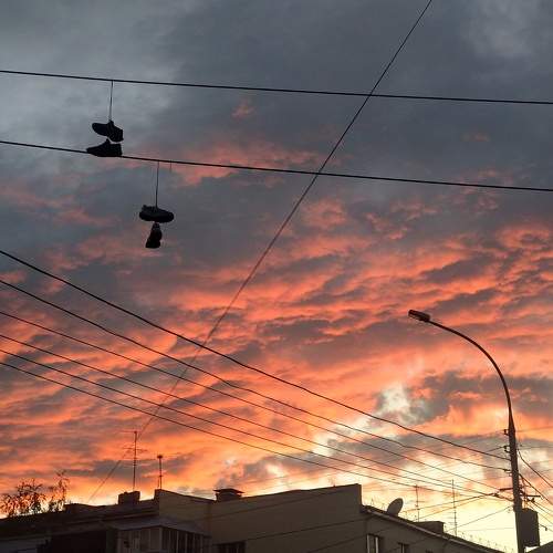 Photo #5862677