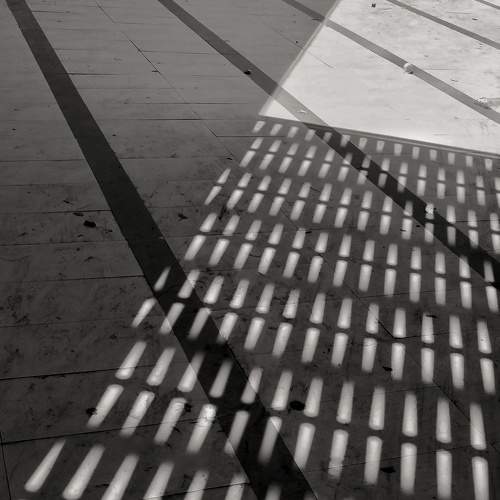 Photo #5862791