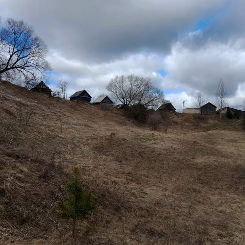 Photo #5862798