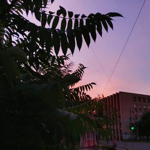 Photo #5862868