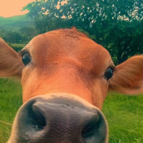 Photo #5863007