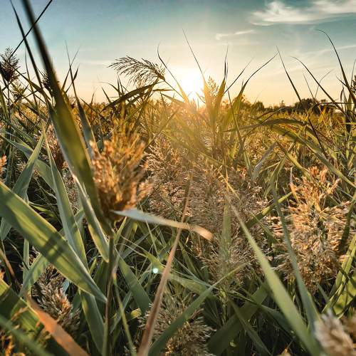 Photo #5863028