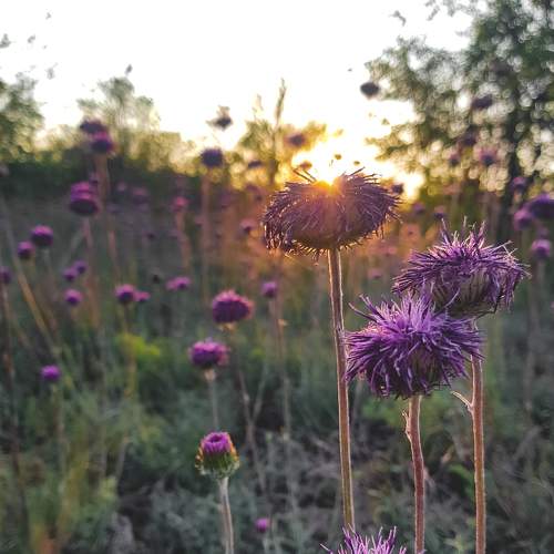 Photo #5863034