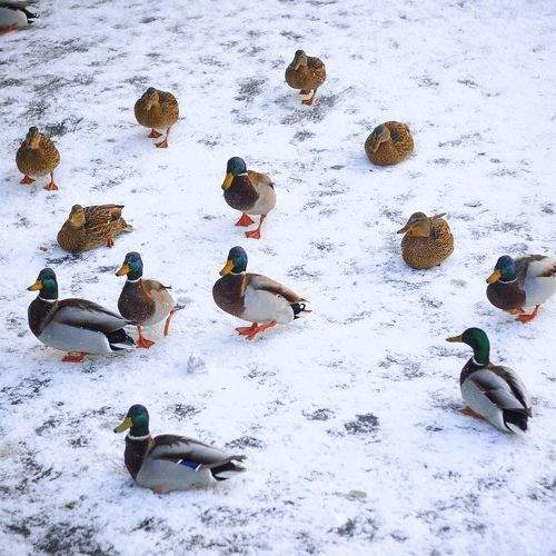 Photo #5863072