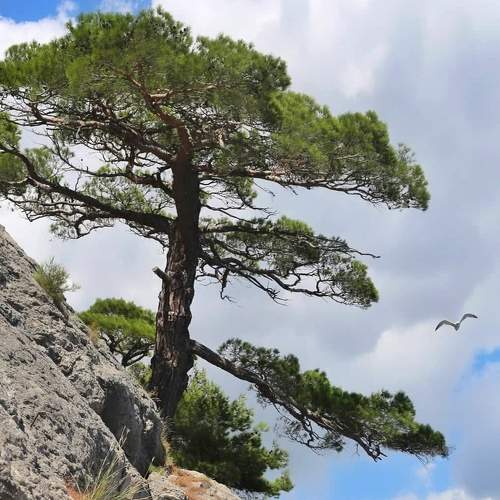 Photo #5863216