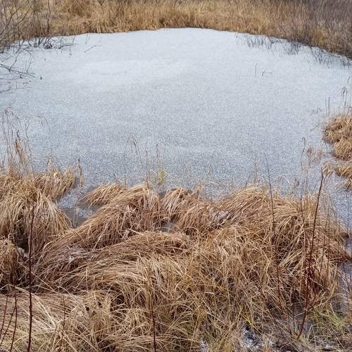 Photo #5863299