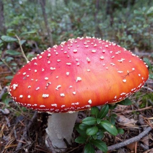 Photo #5863341