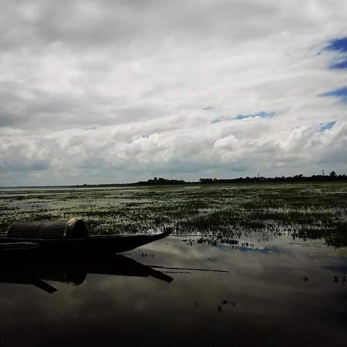 Photo #5863429