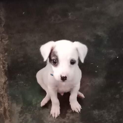 Photo #5863453