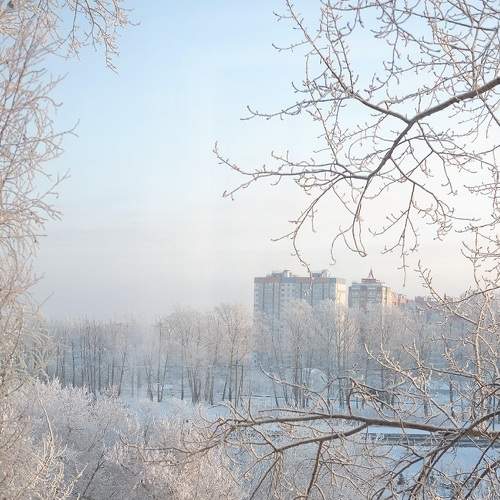 Photo #5863497