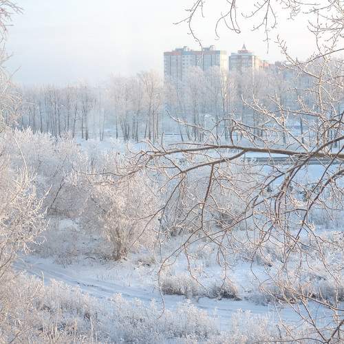 Photo #5863548