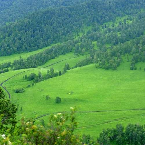 Photo #5863652
